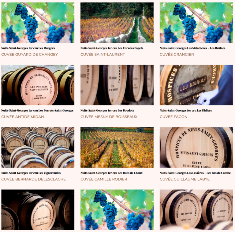 63.ª subasta de vinos de Hospices de Nuits-Saint-Georges