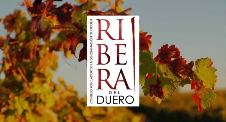 Explorando Ribera del Duero