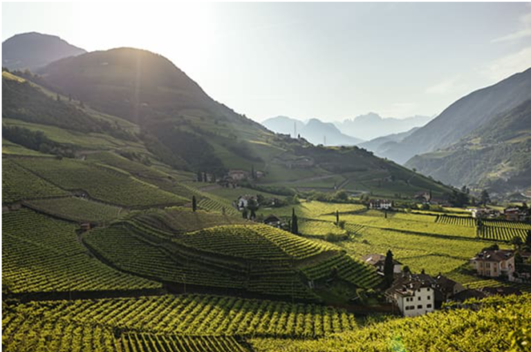 Alto Adige, 86 nuevas “joyas” de terroir