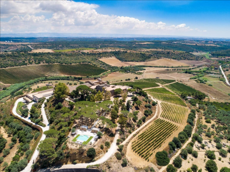 El Nero d’Avola se reinventa, innovación vitivinícola en Sicilia