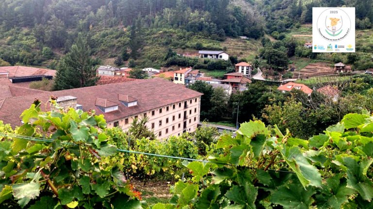 El Concurso nacional de las Pequeñas D.O.’s, tomará Cangas