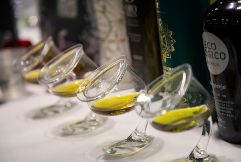 Catar aceite,la experiencia que enamora a los extranjeros (y a ti también)