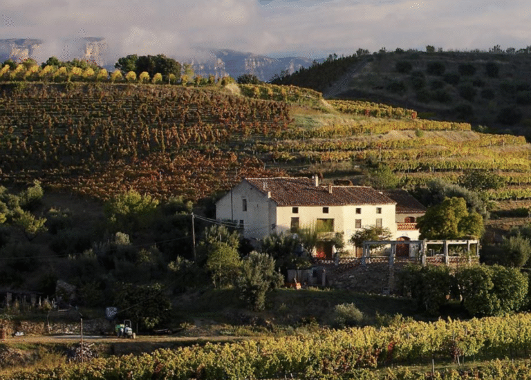 Escapada al Priorat: vinos épicos, paisajes dramáticos y un finde que merece stories